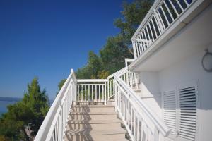 Common Terrace